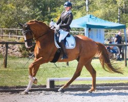 dressage horse Lotus (Hanoverian, 2008, from Londontime)