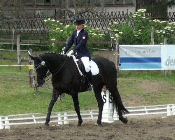 dressage horse Wilmalena (Hanoverian, 2004, from Worldly I)