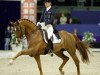 stallion Watermill Scandic (KWPN (Royal Dutch Sporthorse), 1999, from Solos Carex)