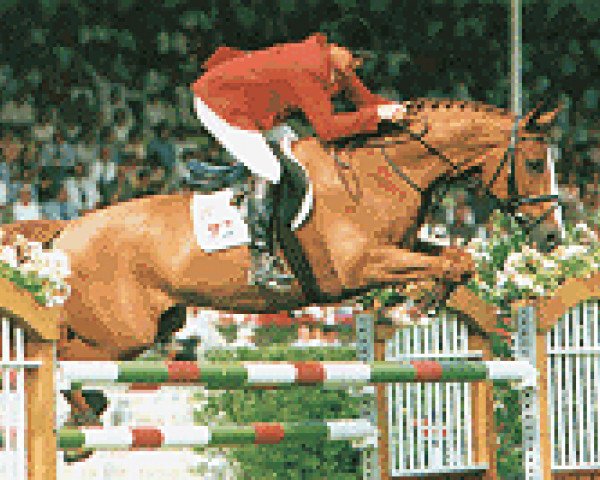 Pferd Easy Jumper (Hannoveraner, 1983, von Eiger I)