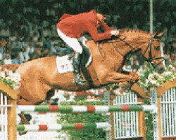 horse Easy Jumper (Hanoverian, 1983, from Eiger I)