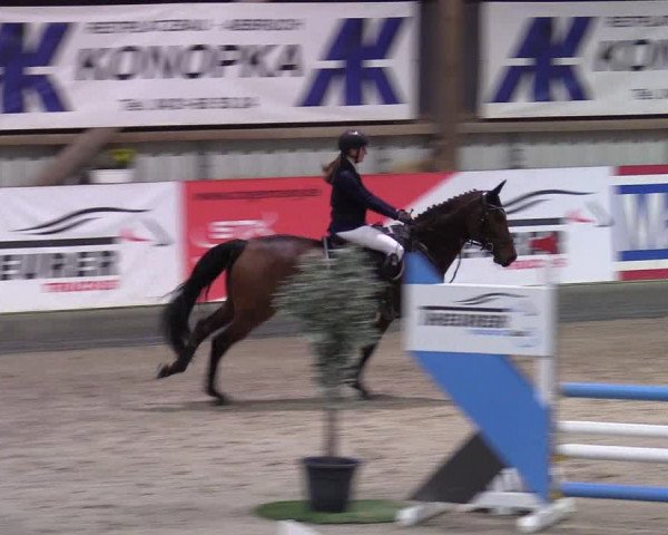 3. Nordic Jumping event Negernbötel 2022