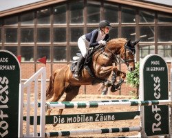 jumper Tosca Vom Purnitzgrund (German Riding Pony, 2009, from Krazy King)