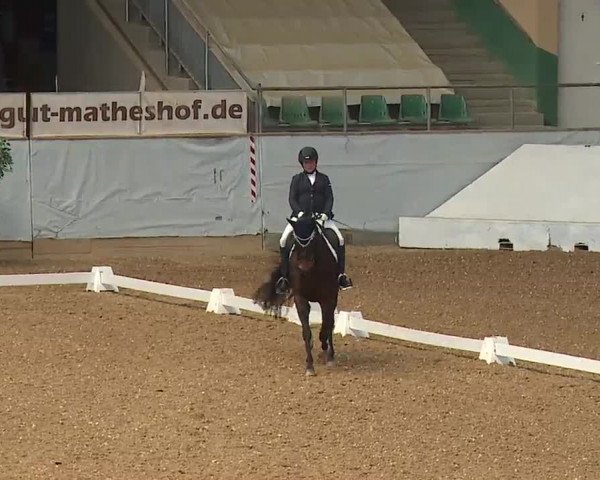 Reitturnier Kreuth/Opf. 2022