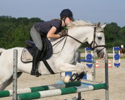 Springpferd Little Cloud (Deutsches Reitpony, 1997, von Lukas)