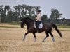 dressage horse Loskarno (Polish Warmblood, 2009, from Zoom)