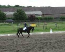 dressage horse Lapislazuli 28 (Hanoverian, 1996, from Landclassic)