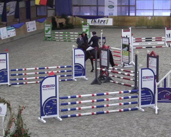 Reitturnier Großenwiehe 2022