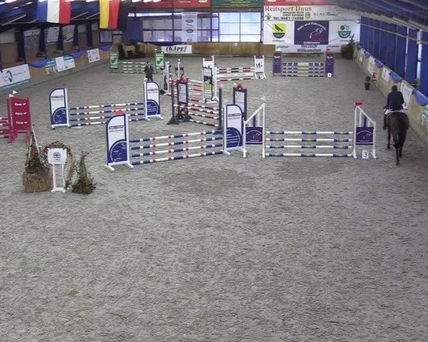 Reitturnier Großenwiehe 2022