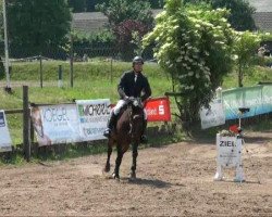 jumper Chantra (German Sport Horse, 2006, from Carpalo)