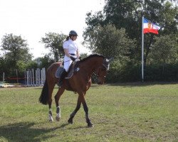 dressage horse Formidable (Westphalian, 1998, from Ferragamo)