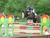 horse Diva 422 (German Riding Pony, 2000, from Nobeless)