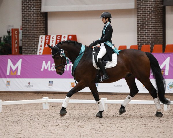 dressage horse First Class Deluxe (Hanoverian, 2011, from Tannenhof's Fahrenheit)
