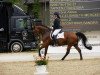 dressage horse Henry Z (Hanoverian, 2010, from Damsey FRH)