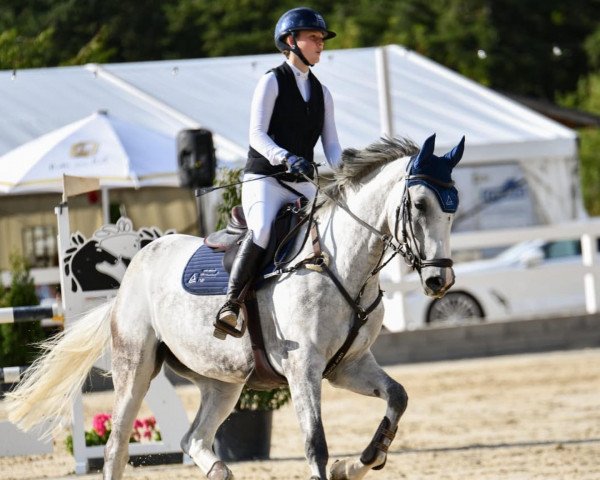 jumper Col's Dream W. (German Sport Horse, 2015, from Col's Cornet W)