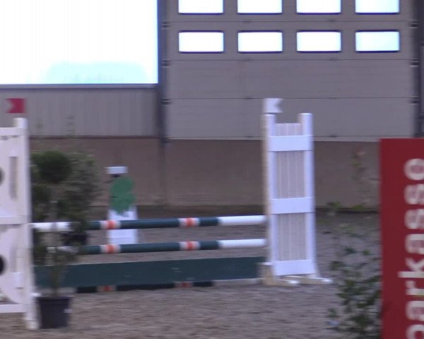 Reitturnier Ahaus 2022