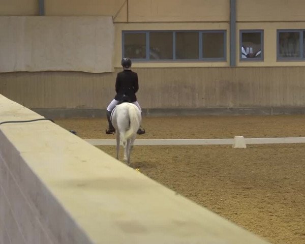 Reitturnier Kreuth/Opf. 2022