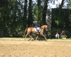 horse Candy (Rhinelander, 2003)