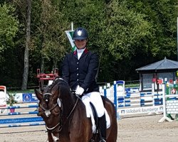 dressage horse Laon F.m (Westphalian, 2014, from Leonardo F.M.)