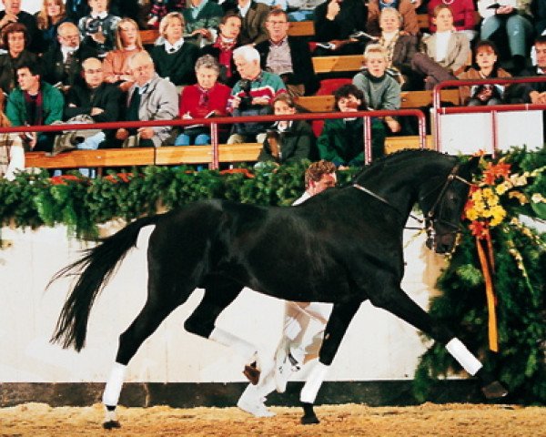 stallion Heraldik xx (Thoroughbred, 1982, from Caramel xx)