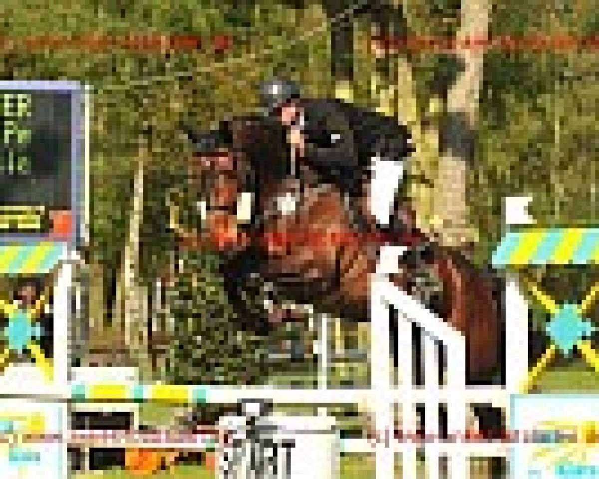 dressage horse Freenet (Rhinelander, 2005, from Fiders Legat)