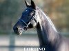 stallion Lortino (Holsteiner, 1992, from Lord)