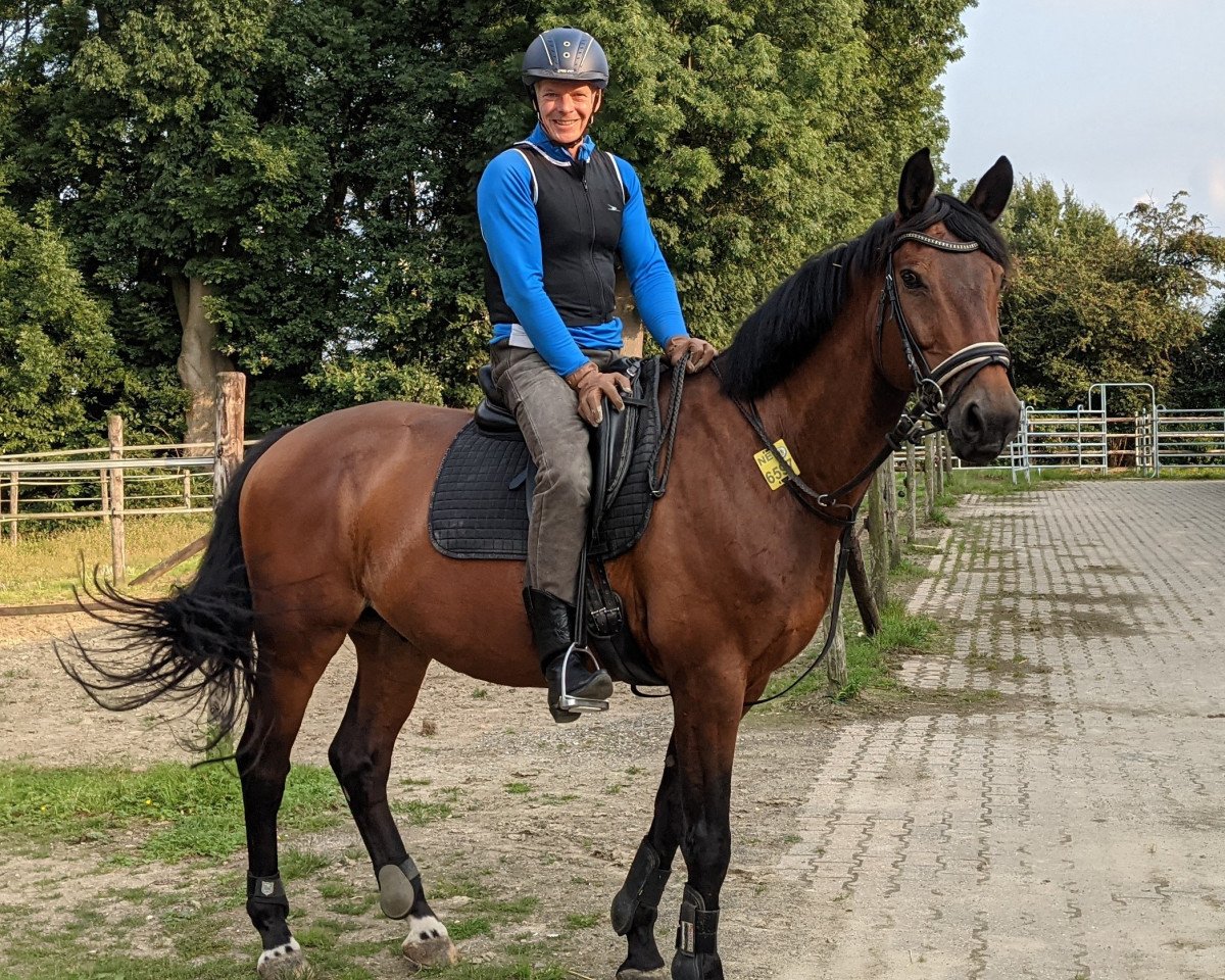 dressage horse Dancing Light 3 (Westphalian, 2008, from Dancing Dynamite)