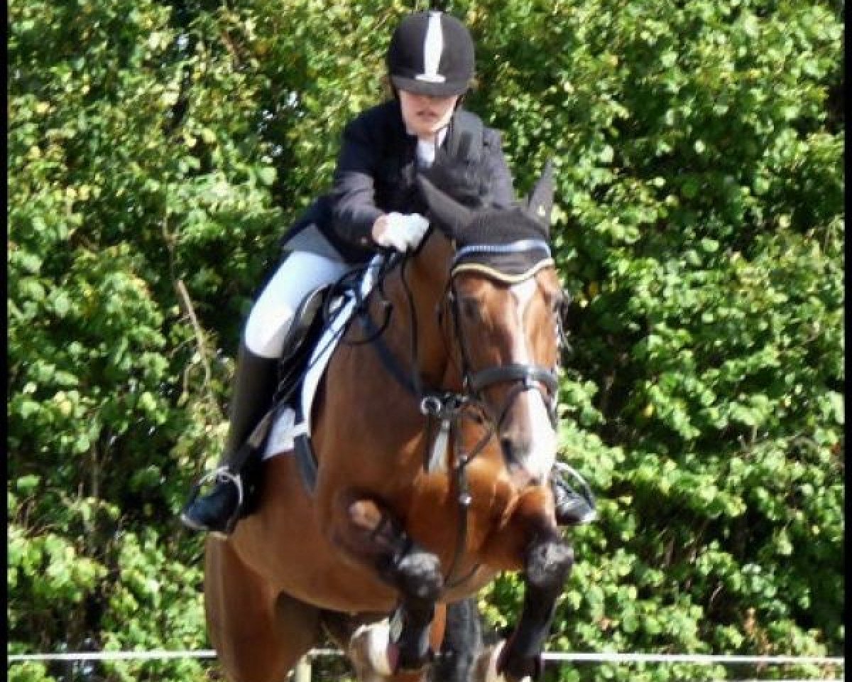 broodmare Limara (Oldenburg, 2000, from Granulit)