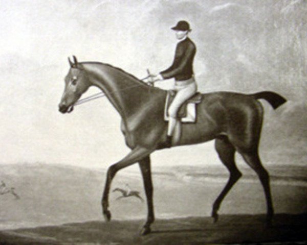horse Second xx (Thoroughbred, 1732, from Flying Childers xx)