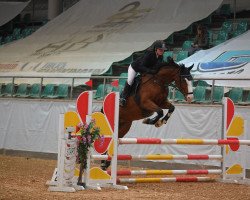 jumper Zorba 15 (Czech Warmblood, 2014, from Garibaldi)