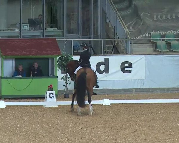Reitturnier Kreuth/Opf. 2022
