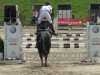 jumper Black Pearl 13 (German Sport Horse, 2003, from Landor S)