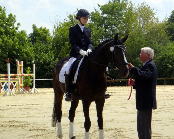 jumper Ligamento (Hanoverian, 2004, from Lauries Crusador xx)