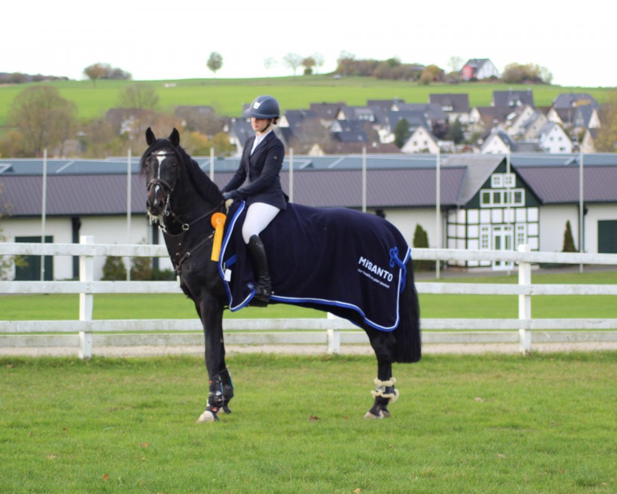 stallion Cofino H (KWPN (Royal Dutch Sporthorse), 2007, from VDL Harley)