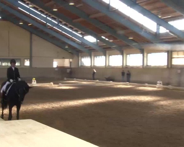 Reitturnier Kreuth/Opf. 2022