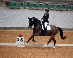 dressage horse Fame (KWPN (Royal Dutch Sporthorse), 2010, from San Amour I)