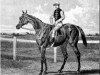 broodmare Imperieuse xx (Thoroughbred, 1854, from Orlando xx)