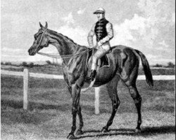 broodmare Imperieuse xx (Thoroughbred, 1854, from Orlando xx)