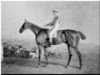 stallion Sam xx (Thoroughbred, 1815, from Scud xx)