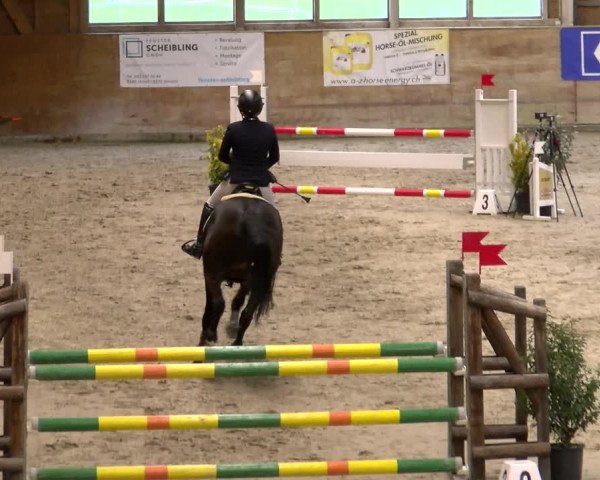 Reitturnier Rüti 2022