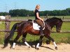 dressage horse La petite Luzi (Westphalian, 2001, from Loutino)