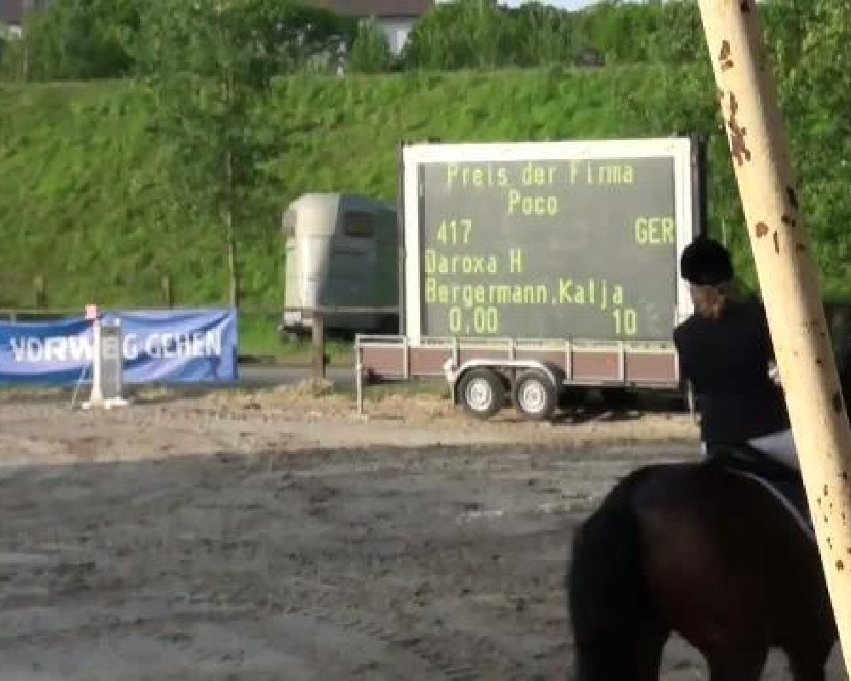 jumper Daroxa H (Westphalian, 1995, from Diamo)