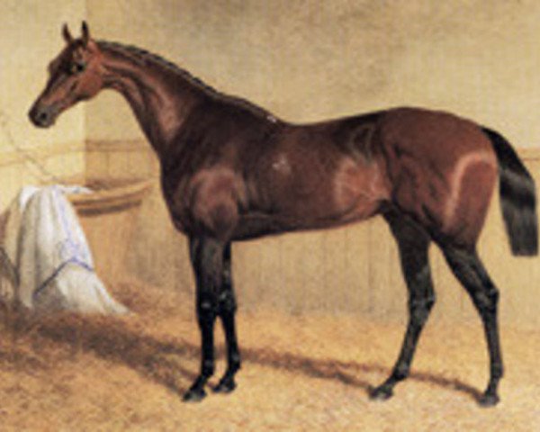 broodmare Beeswing xx (Thoroughbred, 1833, from Doctor Syntax xx)