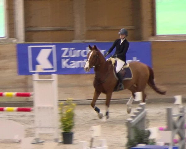 Reitturnier Rüti 2022