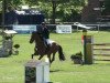 jumper Lincoln N (German Sport Horse, 2004, from Landclassic)