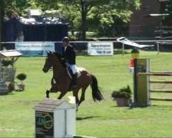 jumper Lincoln N (German Sport Horse, 2004, from Landclassic)