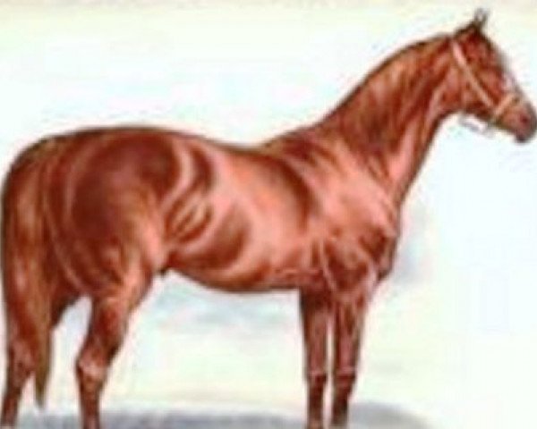 stallion Flageolet xx (Thoroughbred, 1870, from Plutus xx)