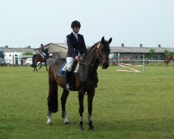 jumper Cornetto 33 (Hanoverian, 2005, from Cornet Obolensky)