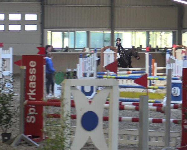 Reitturnier Ahaus 2022
