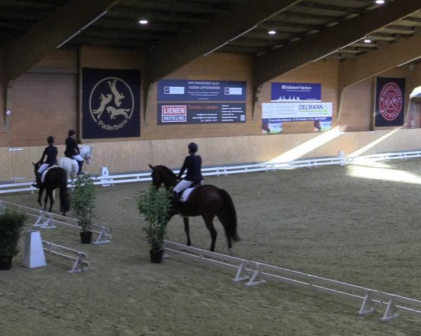 Reitturnier Paderborn 2022